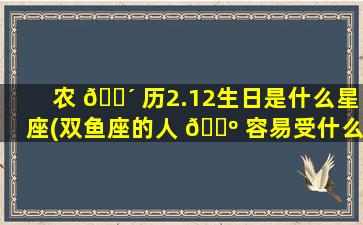 农 🌴 历2.12生日是什么星座(双鱼座的人 🌺 容易受什么影响)